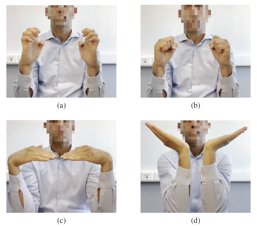 IEEE-EMBC_video-hand-gesture